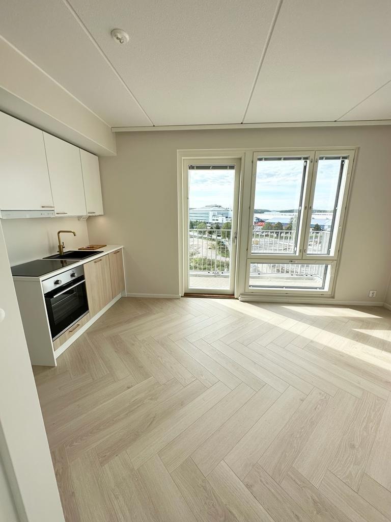 apartment at Hovineidonkatu, Turku 1